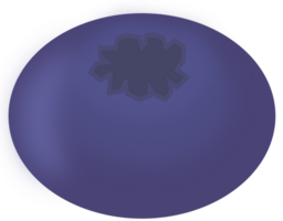 one blueberry isolated on transparent background. png