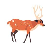 Reindeer in flat cartoon style. Isolated on white background deer. Vector illustration.