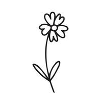 doodle hand drawn flower vector