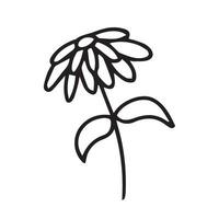 doodle aster flower vector