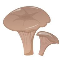 Oyster mushroom isolated on white background vector