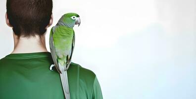 Beautiful green Monk parrot sitting on shoulder of man. photo