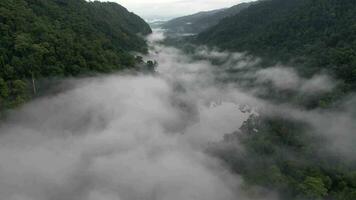 timelapse.antenne vue de le des arbres dans le vallée avec brouillard dans le Matin. paysage de brumeux vallée et Montagne des nuages dans Thaïlande. le Aube de le montagnes avec le mer de brume. video