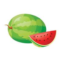 Vector isolated cartoon illustration of a whole watermelon and a cut ripe wedge with seeds. Fresh natural tropical fruit or berry.