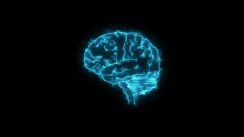bucear dentro neurociencia, humano cerebro lazo animación perspectivas video
