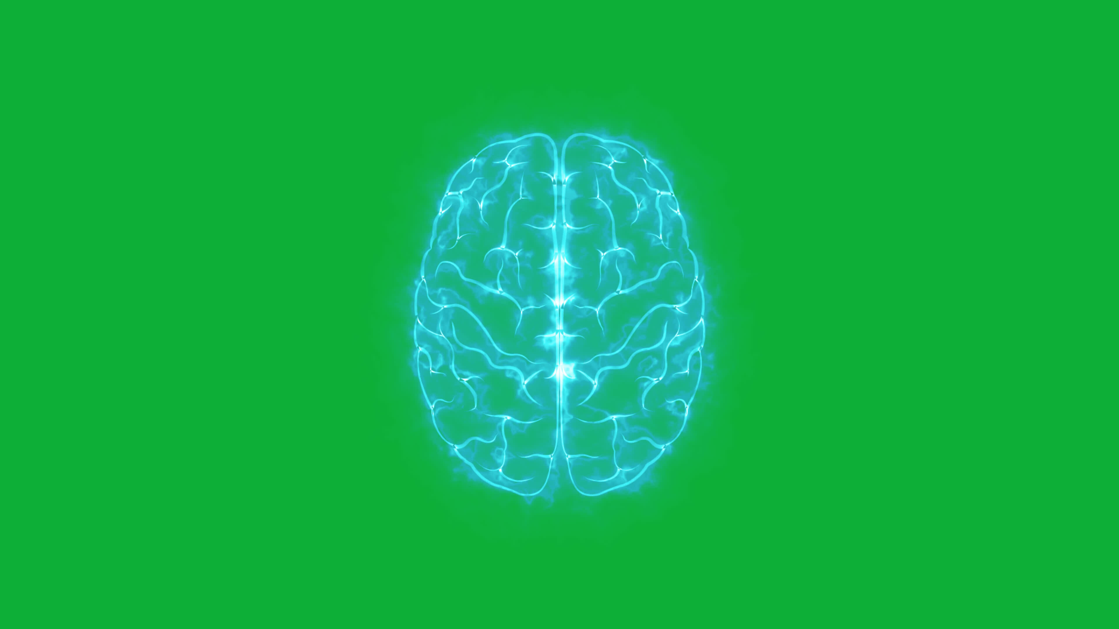 Dive into Neuroscience, Human Brain Loop Animation on Green Screen ...