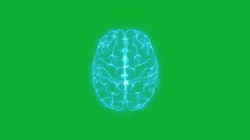 mergulho para dentro neurociência, humano cérebro ciclo animação em verde tela video