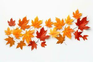 Autumn falling leaves photo