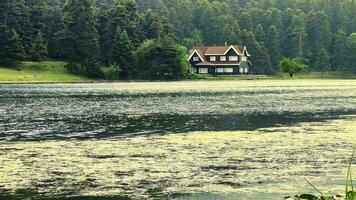 das See Haus und wild Grün Natur im Truthahn video