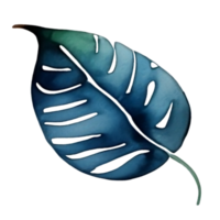watercolor leaf painting png