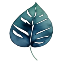 watercolor leaf painting png