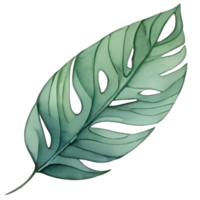 watercolor leaf painting png