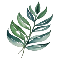 watercolor leaf painting png