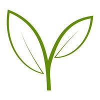 Growth icon green sprout plant leaves, growth leaves letter y vector