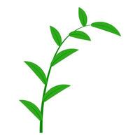 Twig with green leaves symbol spring and growth, plant branch vector