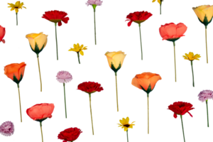 spring beautiful flower pattern png