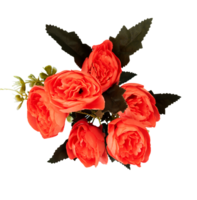 ramo de flores de rojo rosas aislado png