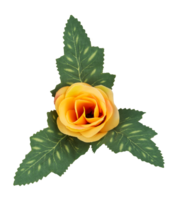 Yellow rose flower with leaf isolated ornament png