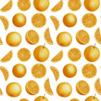 Orange Obst nahtlos Muster. Hand gezeichnet drucken mit Scheiben von Zitrusfrüchte Essen auf Weiß isoliert Hintergrund. Illustration von Ornament mit Mandarine Kreise zum Verpackung Papier. Mandarin zum Saft Etikett. png