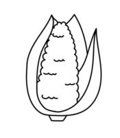 Corn doodle Vector illustration. farm products