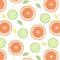 grapefruit and lime seamless pattern. Citrus pattern for fabrics, packaging, wallpapers vector