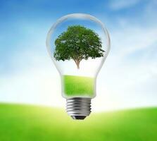 Tree in electric bulb on grassland. Eco energy concept. photo