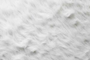 White fur texture 4470256 Stock Photo at Vecteezy