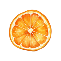 laranja fatia aguarela ilustração, laranja fatia em transparente fundo png