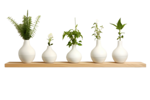 five white vases with plants on a wooden shelf png