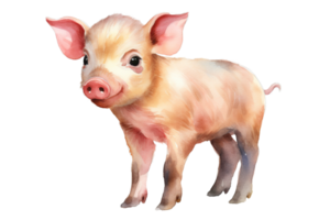 a cute little watercolor pig on a transparent background png