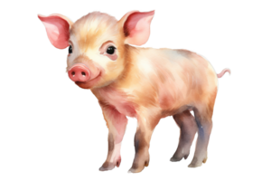 ein süß wenig Aquarell Schwein auf ein transparent Hintergrund png