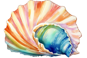 aquarelle illustration de une coquille sur une transparent Contexte png