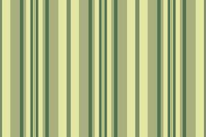 Background vector textile of pattern lines stripe with a texture fabric vertical seamless.