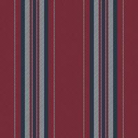 Vertical lines stripe pattern. Vector stripes background fabric texture. Geometric striped line seamless abstract design.