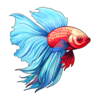 siamese stridande fisk klistermärke illustrationer, betta fisk png