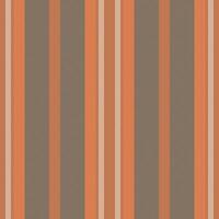 Vertical lines stripe pattern. Vector stripes background fabric texture. Geometric striped line seamless abstract design.