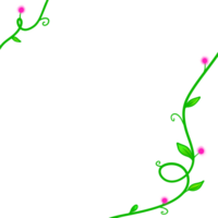 a green vine with pink flowers on a white background png