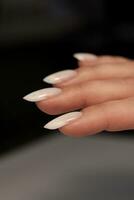 Nude manicure. Long almond shaped nails. Nail design. Manicure with gel polish. Close-up of the hands of a young woman with a gentle nude manicure on her nails. Bright nails with gel polish. photo