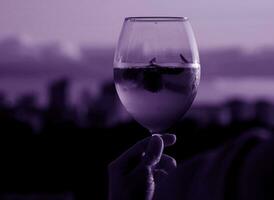 Woman hand hold wine glass photo