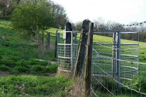 Beautiful Low Angle View of Trees and Plants at Countryside of Luton England UK. April 17th, 2023 photo