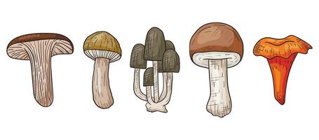 Vector autumn doodle set with forest mushrooms in line art style.