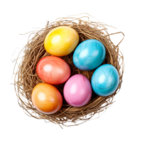 Easter eggs in a nest png