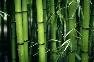 Close-up shot of Green bamboo trees. Oriental vibes. AI Generated photo