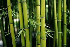 de cerca Disparo de verde bambú arboles oriental vibras. ai generado foto