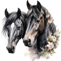 Black horses portrait with flowers. Couple in love, heart. Watercolor Illustration. Sketch hand drawn. Graphics, giclee, invitation. png