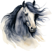 Black horse portrait isolated on transparent background. Watercolour illustration png