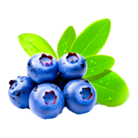 Blueberry with leaves isolated on transparent background AI Generative png