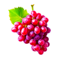 Frais rouge grain de raisin transparent Contexte ai génératif png