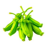 transparent background Healthy Green Vegetable AI Generative png