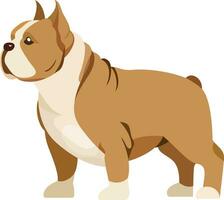 americano toro perro, matón plano estilo vector ilustración, toro perro, matón perro, americano buldog plano estilo valores vector imagen